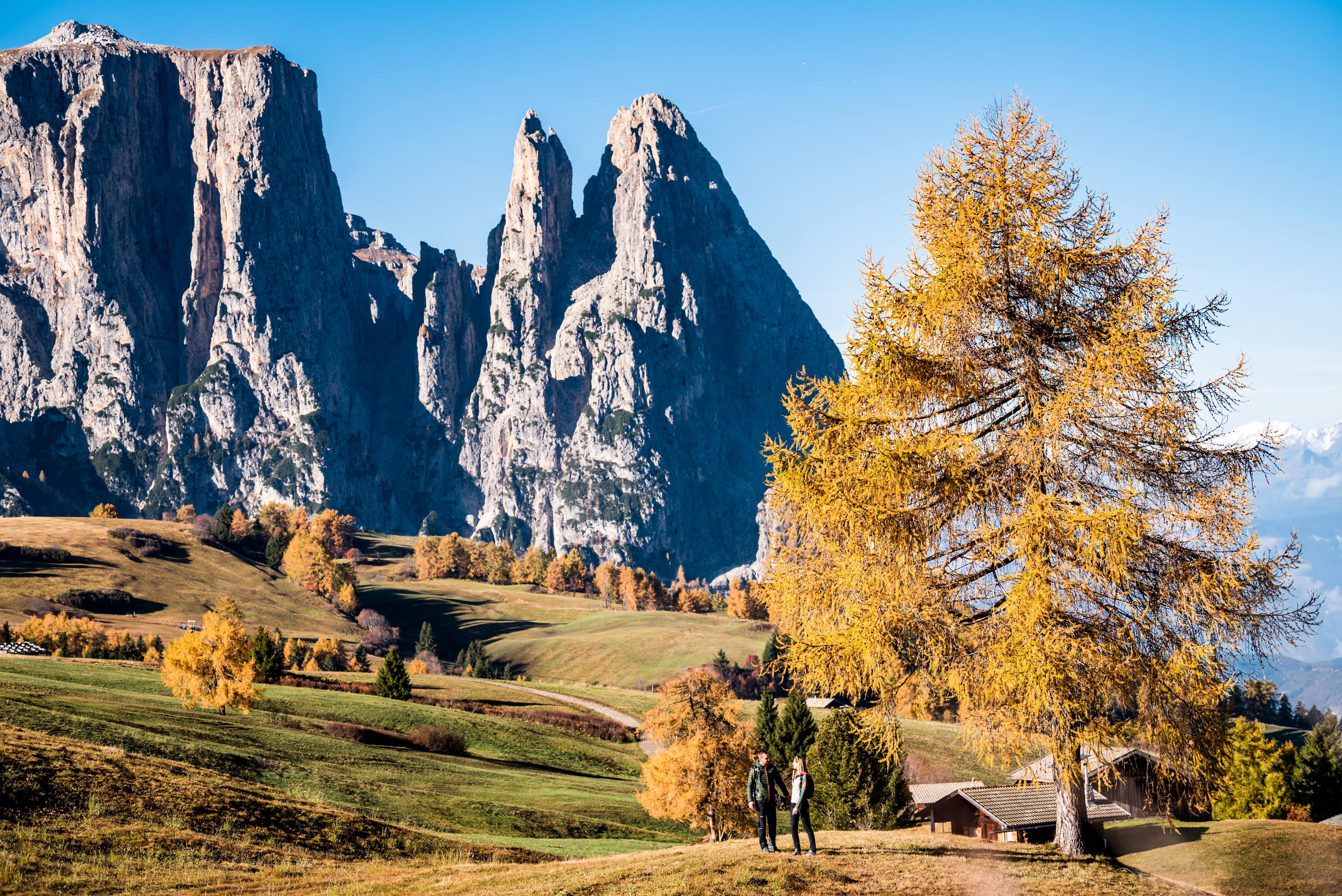 Hotel Steger-Dellai Alpe Di Siusi Bagian luar foto