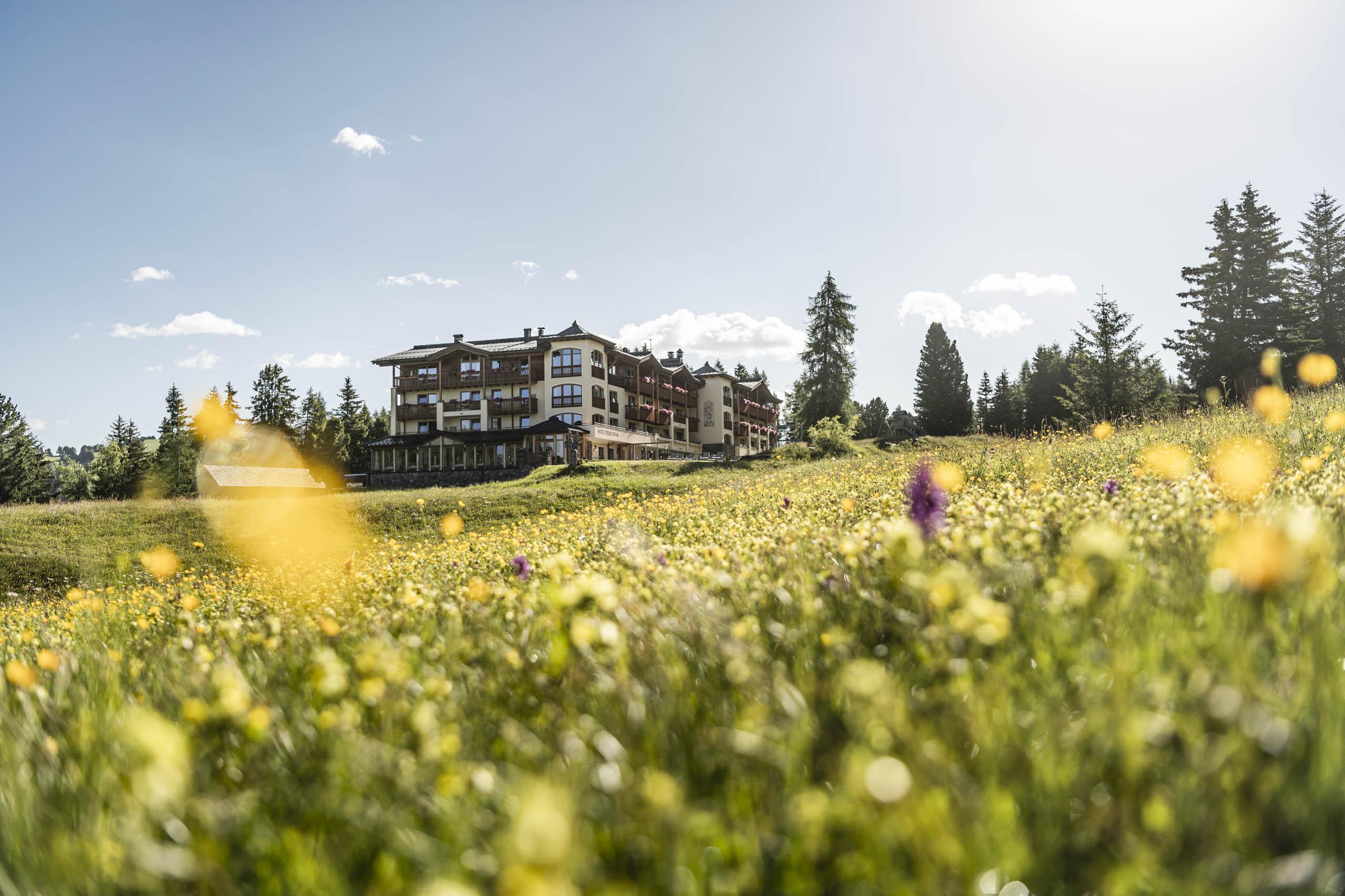 Hotel Steger-Dellai Alpe Di Siusi Bagian luar foto